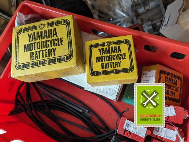 PXL_20240516_145543147